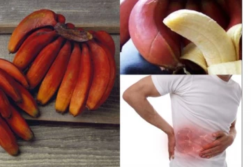 தினந்தோறும் இரவில் ஒரு செவ்வாழைப்பழம் சாப்பிடுவதால் என்ன நடக்கும் தெரியுமா?