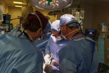 பன்றியின் சிறுநீரகம் பொருத்தப்பட்ட நபர் ; வெற்றி கண்ட அறுவை சிகிச்சை நிபுணர்கள்