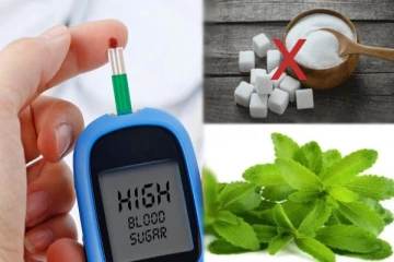 நீரிழிவு நோயாளிகளுக்கு இனி சர்க்கரைக்கு பதிலாக இந்த சீனிதுளசி போதும்.., கிடைக்கும் நன்மைகள் இதோ