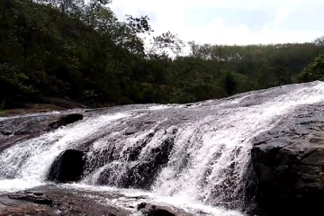 9 வயது சிறுமி நீரில் மூழ்கி பரிதாப மரணம்