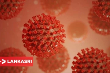 சுவிஸ் எல்லையில் அபூர்வ வகை கொரோனா வைரஸ் கண்டுபிடிப்பு