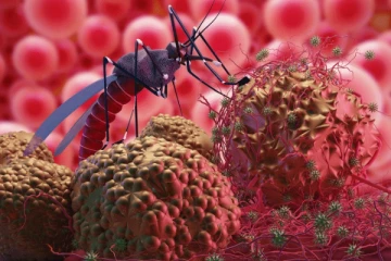 தீவிரமாகும் ஜிகா வைரஸ்; தமிழகத்தில் பாதிப்பா? பொது சுகாதாரத்துறை தகவல்