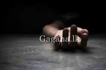 ඩෙල්ෆ්ට් වලින් හමු වූ අභිරහස් මරණය.