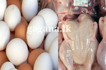 කුකුළු මස් සහ බිත්තර මිල ගැන තීරණයක්.