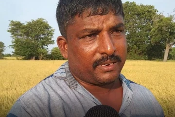 அறுவடைக்கு எரிபொருளை பெற்றுத் தருமாறு விவசாயிகள் கோரிக்கை (VIDEO)