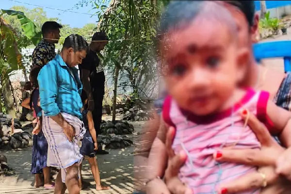 பாம்பு தீண்டியதால் ஆறு மாத குழந்தை பரிதாபகரமாக உயிரிழப்பு (Video) | Six Month Old Baby Died Bitten By A Snake