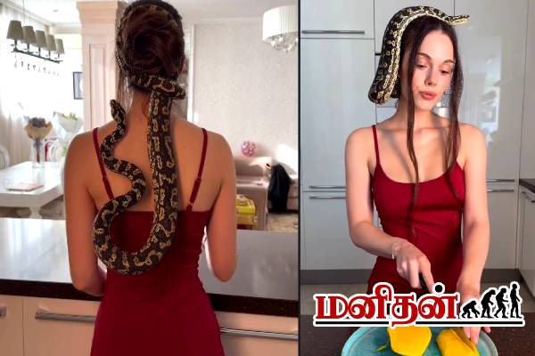 பாம்பை ஹேர் பேண்ட்டாக போட்ட பெண்.. பதற வைத்த காட்சி | Woman Wearing A Snake As A Hairband Video