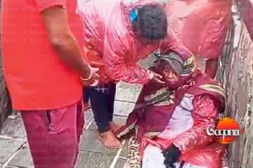 විශේෂ අවශ්‍යතා ඇති පුද්ගලයෝ 650 ක් ශ්‍රීපාදය කරුණා කරති