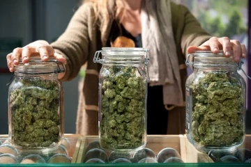 பிரான்ஸில் கஞ்சா பிரியர்களுக்கு ஆப்பு!