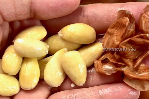 இது தெரிஞ்சா பாதாம் தோலை தூக்கி எறிய மாட்டீர்கள்!! | Benefits Of Almonds Skin