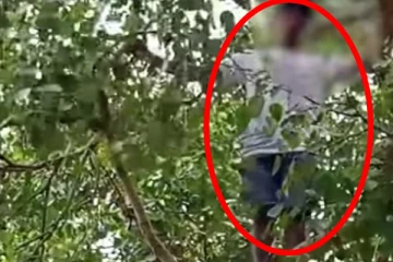 கதிர்காம மரத்தில் ஏறி நபர் அட்டகாசம்