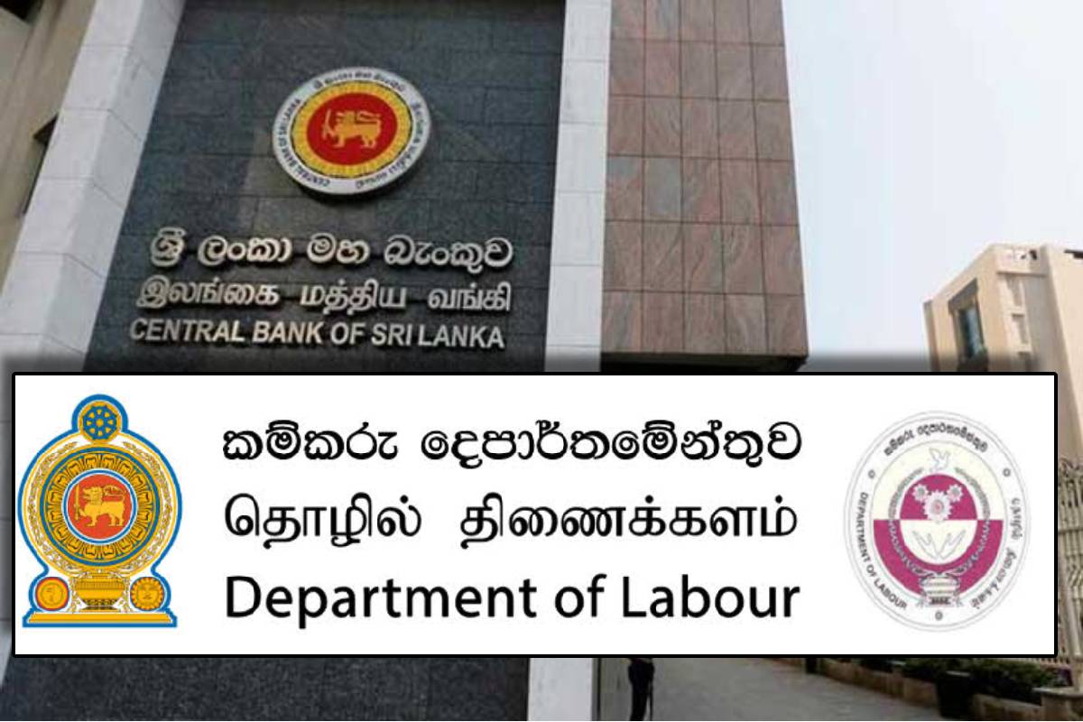 EPF மற்றும் ETF குறித்து பிரதியமைச்சர் வெளியிட்ட முக்கிய அறிவிப்பு | 22 9 Million Members Registered With Epf EPF மற்றும் ETF குறித்து பிரதியமைச்சர் வெளியிட்ட முக்கிய அறிவிப்பு | 22 9 Million Members Registered With Epf