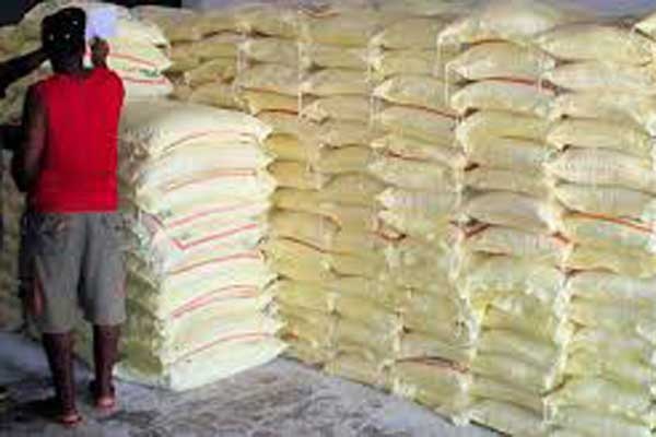 இறக்குமதிக்கு தடை - கோதுமை மாவின் விலை அதிகரிக்கும் அபாயம் | Wheat Flour Will Increase In The Future
