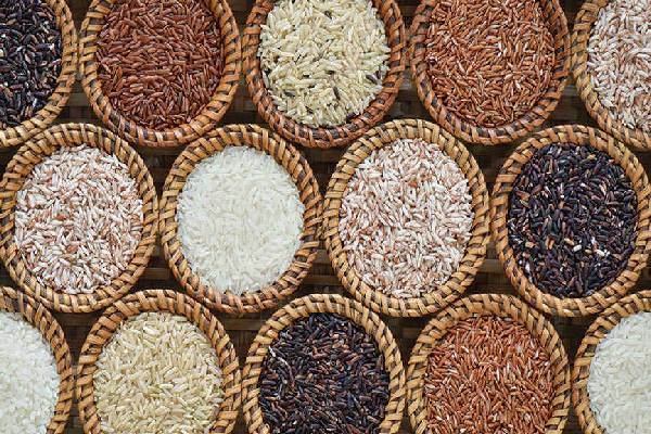 அரிசி வகைகளின் மருத்துவ பயன்கள் குறித்த அறிவியல் ஆய்வு | Srilanka Type Of Rice