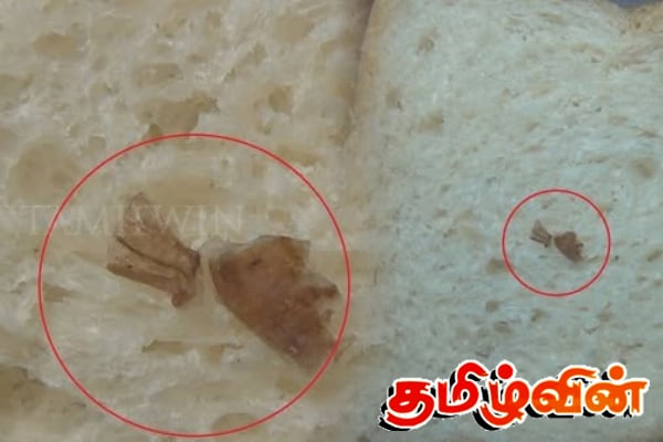 பாண் கொள்வனவு செய்தவருக்கு காத்திருந்த அதிர்ச்சி | Man Shocked After Buying Bread