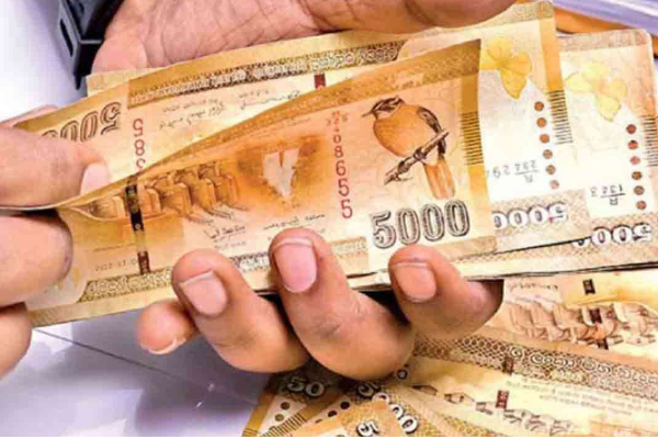 பதுக்கப்பட்ட அரிசி பொதிகளால் இலங்கை அரசிற்கு கிடைத்த வருமானம் | Income Earned From Hoarded Rice Bags