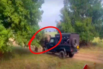 சுற்றுலா பயணிகளின் செயலால் கோபமடைந்த யானை: வெளியான பதறவைக்கும் காட்சிகள்