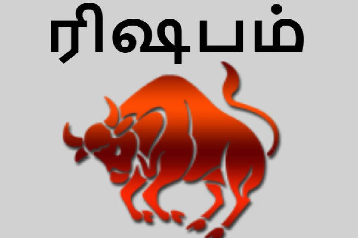 ரிஷபத்தில் சூரியன் பெயர்ச்சி : நிதி நிலையில் உச்சமடையும் டாப் 3 ராசிகள்! உங்க ராசியும் இருக்கா? | Sun Transit In Taurus These Zociacs Get Huge Money