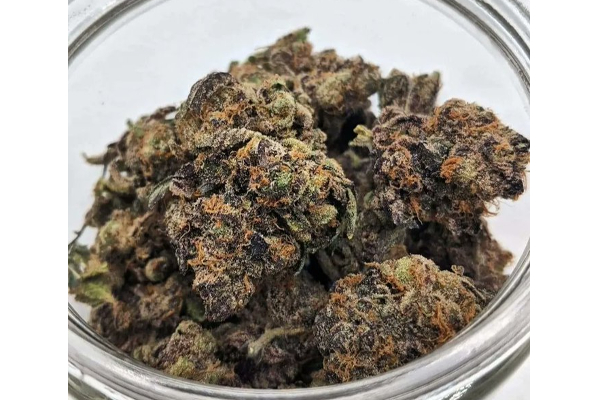 கஞ்சாவிற்காக... சுற்றுலாப் பயணிகளால் தத்தளிக்கும் தாய்லாந்து! | Weed Legalisation In Thailand Huge Tourism