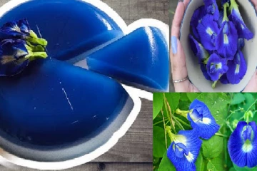 කවුරුත් ආසාවෙන් කන ජෙලි නිල්කටරොළු වලින් හදමු..