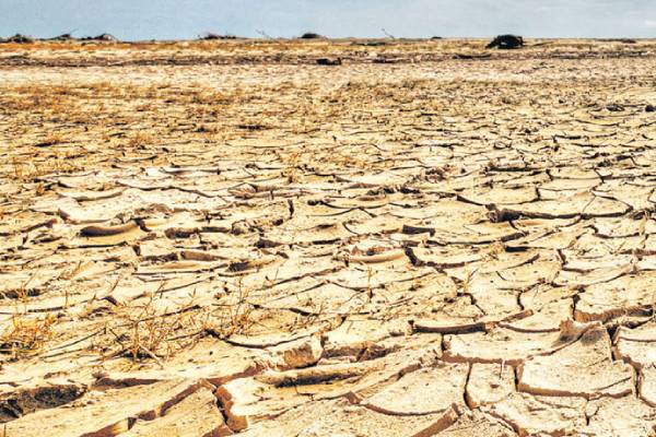 வறட்சியான காலநிலை காரணமாக பயிர் சேதங்களுக்கு இழப்பீடு | Compensation For Crop Damage Due To Drought