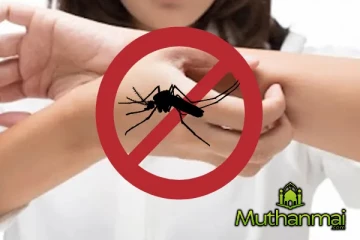 நாட்டில் டெங்கு ஒழிப்பு தொடர்பில் சிறப்பு வேலைத்திட்டம் முன்னெடுப்பு