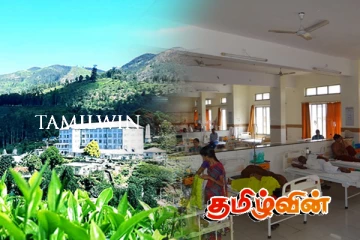 பொகவந்தலாவையில் குளவி கொட்டுக்கு இலக்கான 7 பேர் வைத்தியசாலையில் அனுமதி