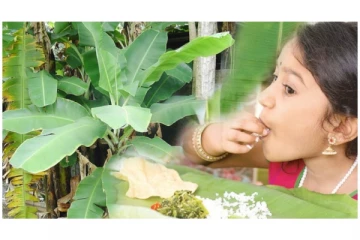 வாழை இலையில் சாப்பிட்டால் எவ்வளவு நன்மைகள் கிடைக்கும்ன்னு தெரியுமா?