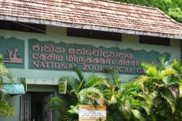 தெஹிவளை மிருகக்காட்சிசாலையில் திருட்டு ; பல இலட்சம் பெறுமதியான பஞ்சவர்ணக் கிளி மாயம்
