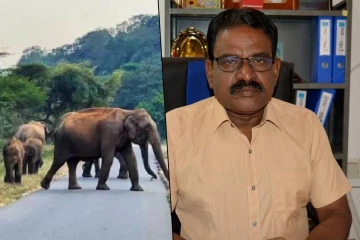 மின்வெட்டால் யானை அட்டகாசம் அதிகரிப்பு - சபையில் சிறீநேசன் சுட்டிக்காட்டு