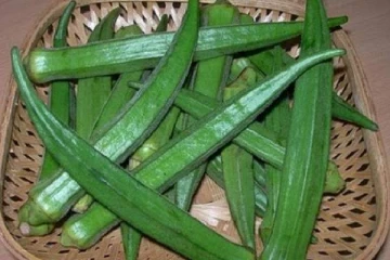 வெண்டைக்காய் நல்லது தான்... ஆனால் இந்த 5 பிரச்சனை உள்ளவர்கள் சாப்பிடக்கூடாது