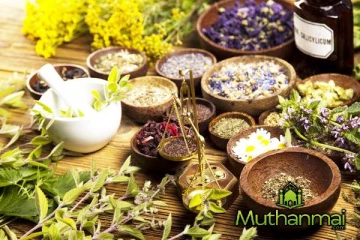 நாடு முழுவதும் நடைமுறைக்கு வரவுள்ள மூலிகை வளர்ப்பு திட்டம்