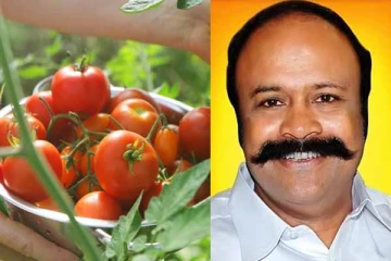 எகிறிய தக்காளி விலை.. இனி ரேஷன் கடைகளில் வாங்கலாம்