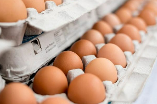 சனிக்கிழமை முதல் குறைவடையும் முட்டை விலை..! | Egg Price In Sri Lanka
