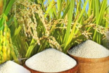 அரிசியின் விலை குறையுமா?