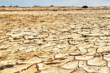 வறட்சியான காலநிலை காரணமாக பயிர் சேதங்களுக்கு இழப்பீடு