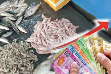 திருகோணமலை மீன் பொதுச் சந்தையில் சடுதியாக அதிகரித்த மீன்களின் விலை