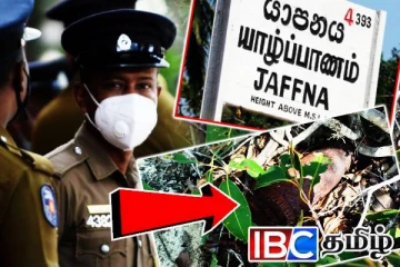 யாழில் இணங்கானப்பட்ட வெடிக்காத மோட்டார் வகைக்குண்டு!