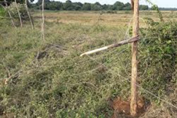 காணாமல்போன இளைஞர் தூக்கில் தொங்கிய நிலையில் சடலமாக மீட்பு