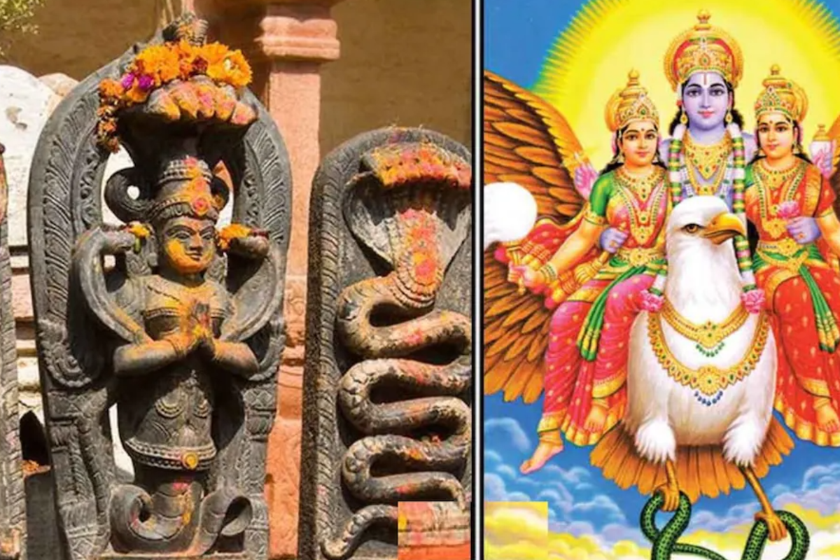 2026 கருட பஞ்சமி: காலசர்ப்ப தோஷம் உள்ளவர்கள் கட்டாயம் இந்த தினத்தை தவிர விடாதீர்கள் | 2026 Benefits Of Worshiping On Karuda Panjami