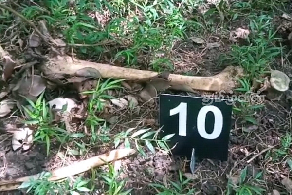 வவுனியாவில் மனித எச்சங்கள் மீட்பு (video) | Recovery Of Human Remains In Vavuniya