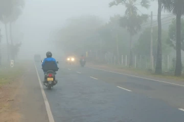 வவுனியாவில் கடும் பனிமூட்டம்! சிரமத்தை எதிர்கொண்ட சாரதிகள்