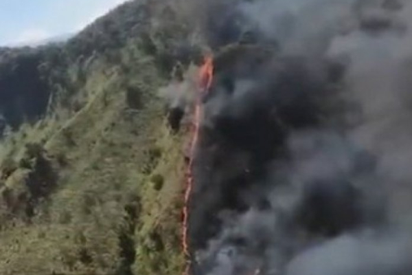 தலபத் கந்த வனப்பகுதியில் தீ விபத்து ; பல ஏக்கர் நாசம் | Fire In Talapathkanda Forest Many Acres Destroyed