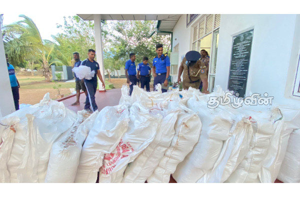 மன்னாரில் பல கோடி ரூபா பெறுமதியான கேரள கஞ்சா பொதிகள் மீட்பு | Kerala Cannabis Packages Recovered In Mannar