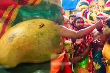 வவுனியாவில் 162,000 ரூபாய்க்கு ஏலத்திற்கு விற்கப்பட்ட மாம்பழம்