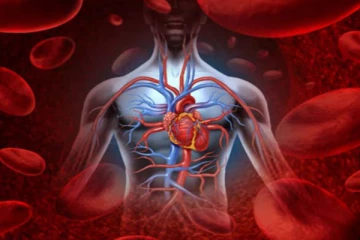 உடம்பில் ரத்தம் குறைவாக இருக்கின்றதா? தாறுமாறாக அதிகரிக்க இதை செய்திடுங்க