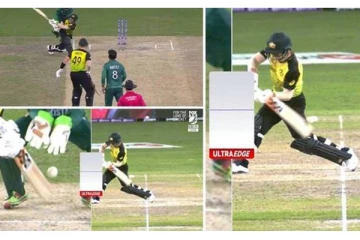 அவுட் இல்லாதற்கு அவுட் ஆகி வெளியேறிய வார்னர்! அப்பட்டாக டிவி ரீப்ளேயில் தெரிந்த காட்சி: ரசிகர்கள் அதிர்ச்சி