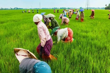 பத்து ஆண்டுகளுக்கு பின் விவசாய கணக்கெடுப்பு பணிகள் ஆரம்பம்