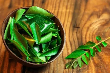 தினமும் வெறும்வயிற்றில் 4 கறிவேப்பிலை சாப்பிடுங்க! கொழுப்பு கடகடவென குறைஞ்சிடுமாம்