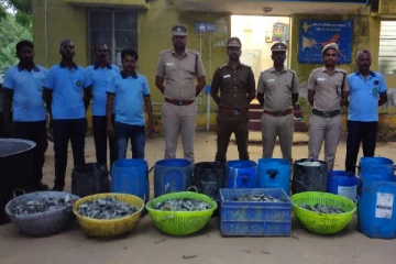 இலங்கைக்கு கடத்துவதற்காக பதுக்கி வைக்கப்பட்டிருந்த கடல் அட்டைகள் மீட்பு(Video)